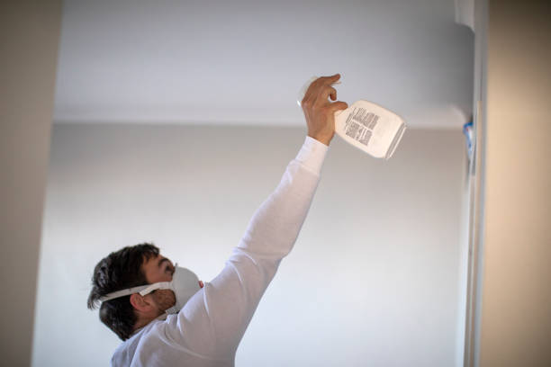 Best Professional Mold Removal  in Holden, MO