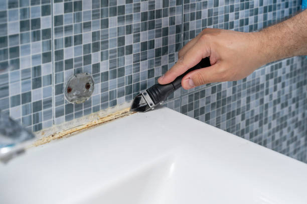 Best Office Mold Removal Services  in Holden, MO